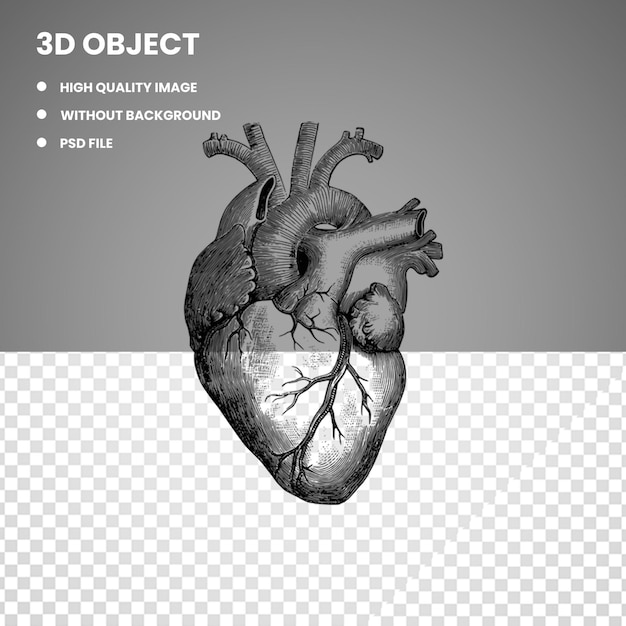 psd heart black png transparent background