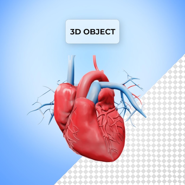 PSD psd heart circulatory system graphy png transparent background