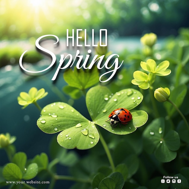 Psd Hello Spring Social Media Post Design