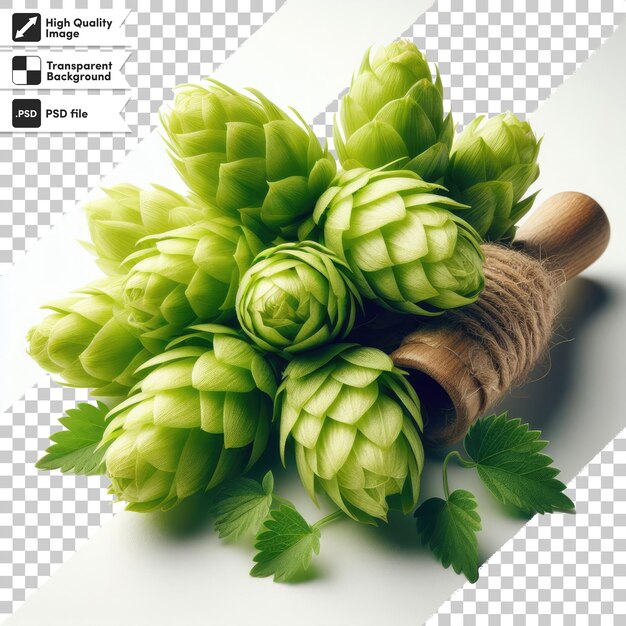 PSD psd hop cones on transparent background