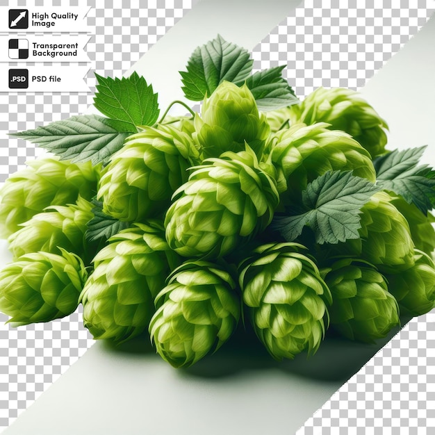 PSD psd hop cones on transparent background