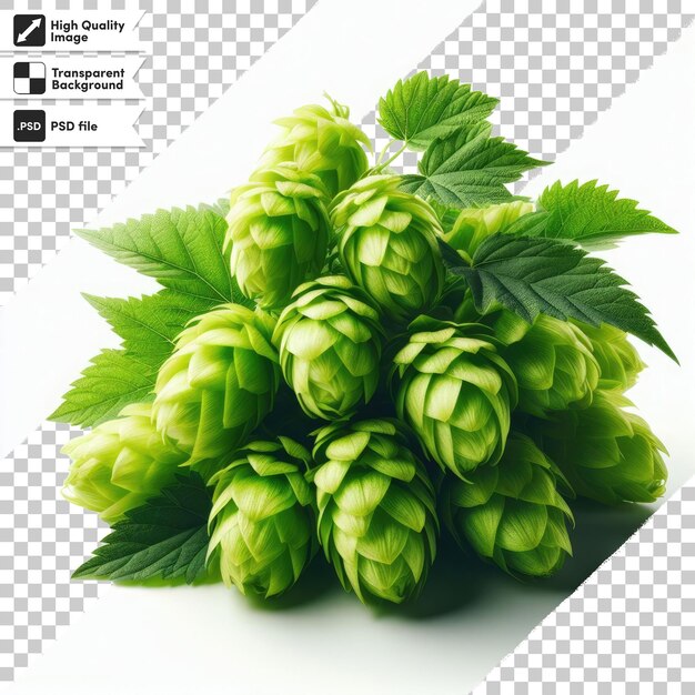 PSD psd hop cones on transparent background