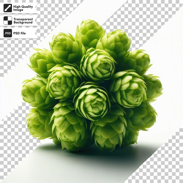 Psd hop cones on transparent background