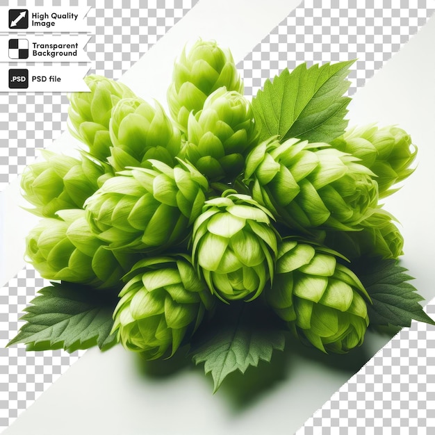 PSD psd hop cones on transparent background