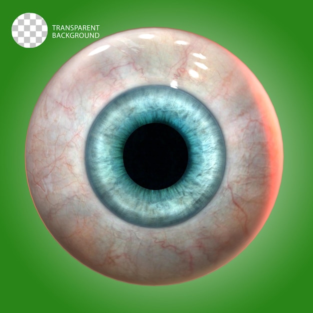 psd human eye ball realistic isolated 3d render illustration