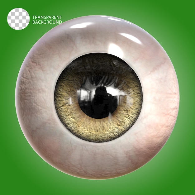 psd human eye ball realistic isolated 3d render illustration