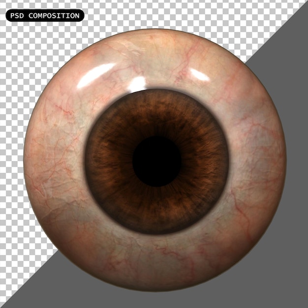 Psd human eye ball realistico isolato 3d render illustrazione