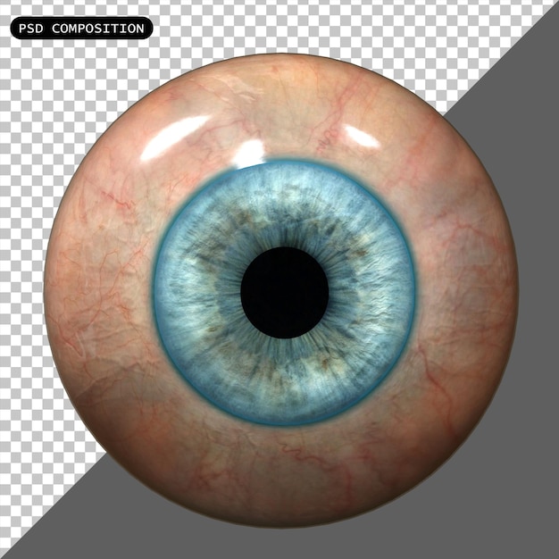 PSD psd human eye ball (인간의 눈알) - 실체적인 고립된 3d 렌더링 일러스트레이션