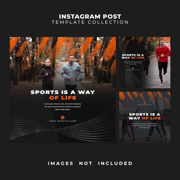 PSD psd instagram and social media triple post template collection sport