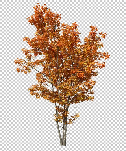 Psd isolate autumn oranges tree leaves shapes on transparent backgrounds 3d rendering