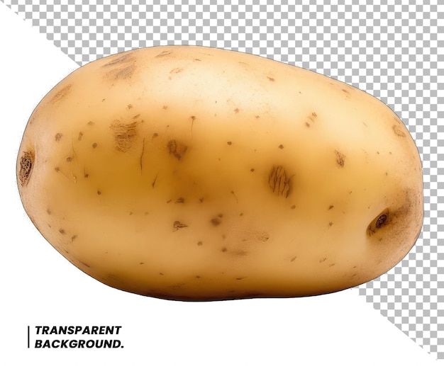 PSD psd isolated potatoes