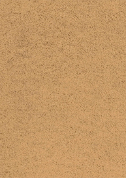 PSD Izolowany papier plakatowy na przezroczystym tle