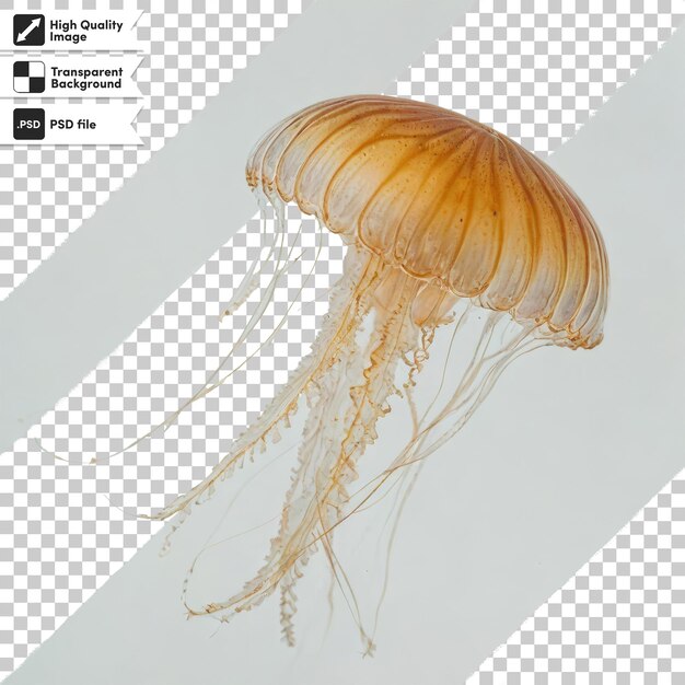 PSD psd jellyfish on transparent background with editable mask layer