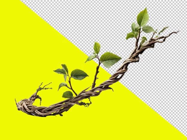 PSD psd of a jungle twisted branch on transparent background