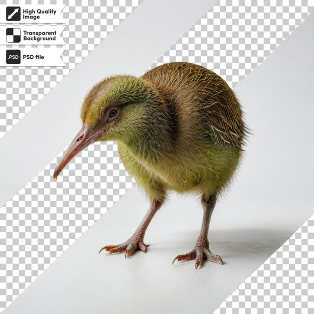 PSD kiwi bird on transparent background with editable mask layer