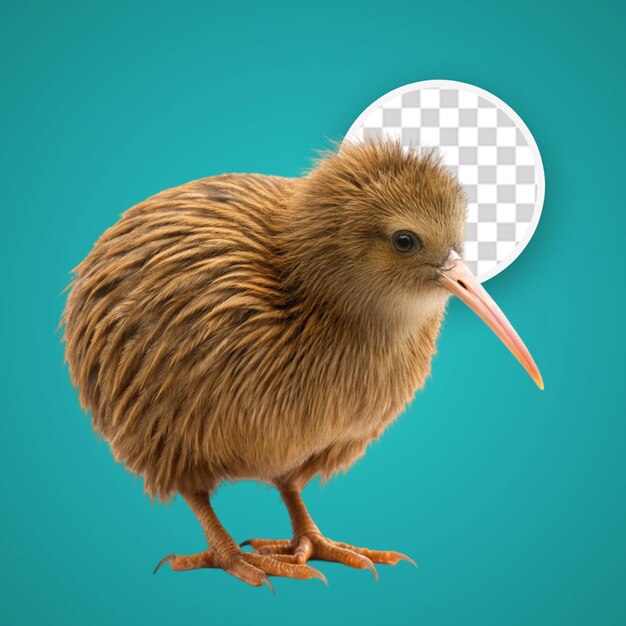 PSD psd kiwi bird on transparent background with editable mask layer