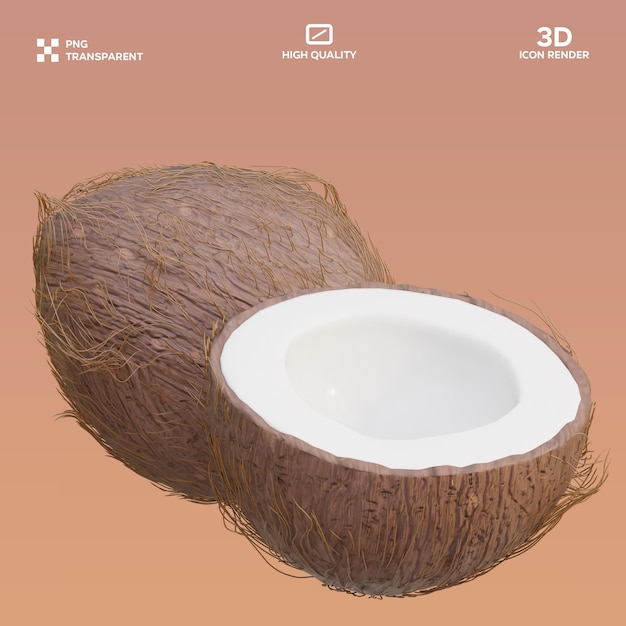 PSD Kokosnoot 3D illustratie