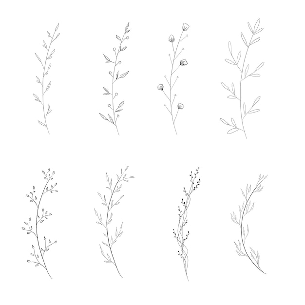 Psd line leaf illustration