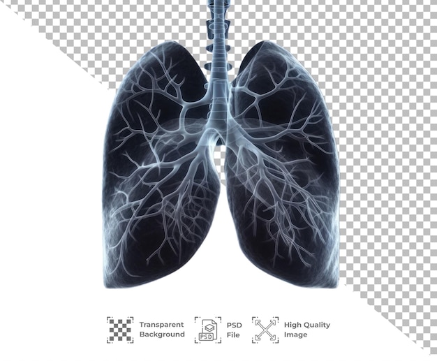 PSD psd lung organ isolated