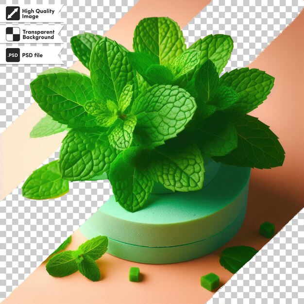 Psd mint leaves on transparent background