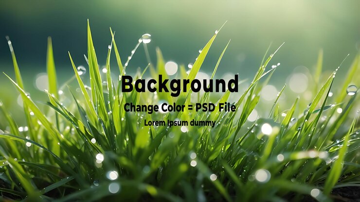PSD psd 晨露在日出时闪闪发光在新鲜的绿色草地上,象征着新鲜和生命