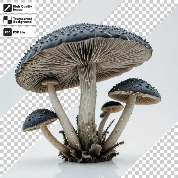 PSD mushrooms in grass on transparent background with editable mask layer