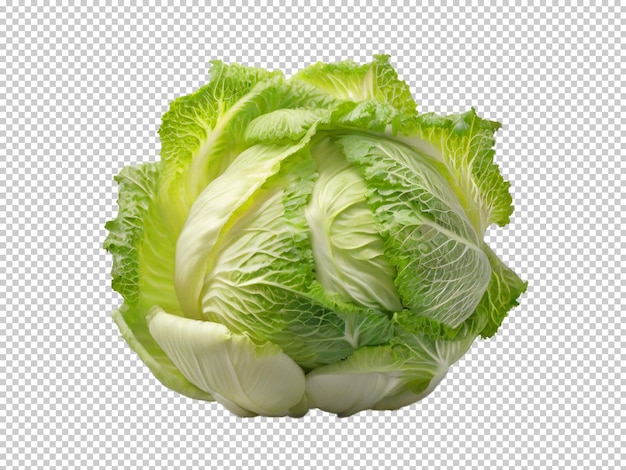 Psd napa cabbage png на прозрачном фоне