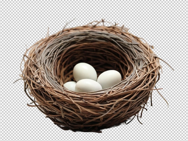 PSD psd of a nest on transparent background