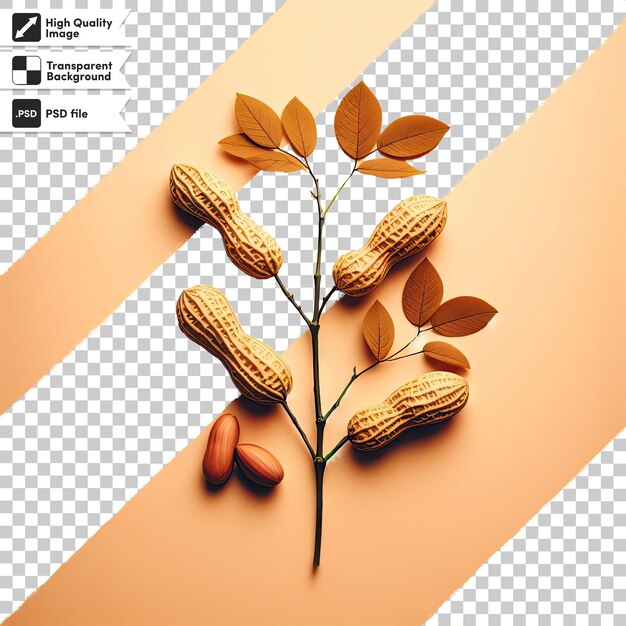 Psd nuts and leafs on transparent background