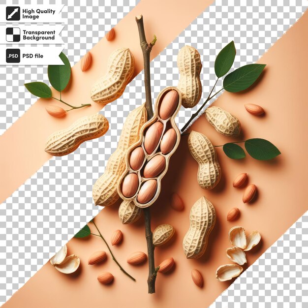 PSD psd nuts and leafs on transparent background