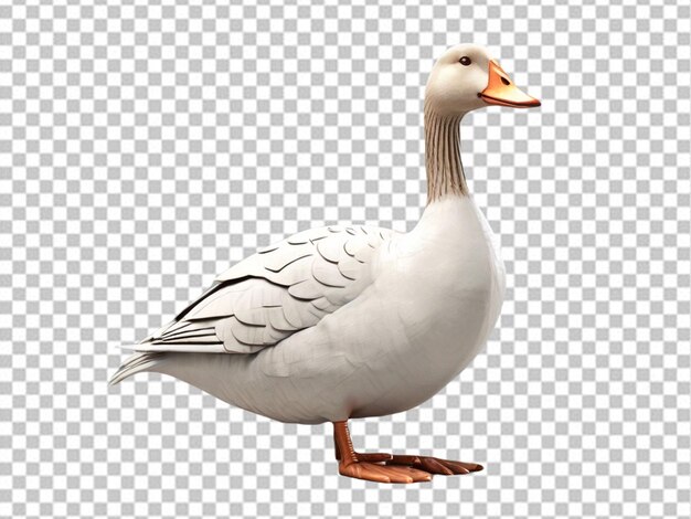 PSD 3d goose의 psd