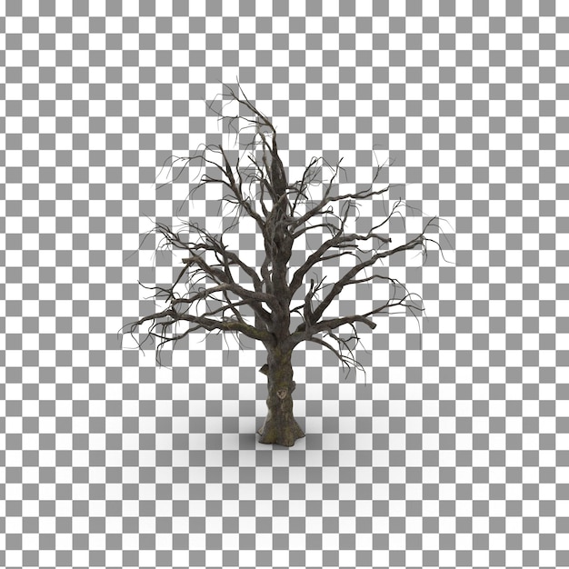 Psd old dead tree on isolated and transparent background