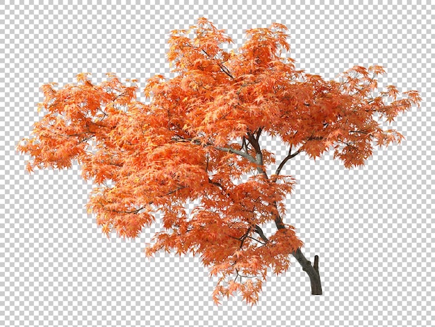 PSD psd orange leafs cover autumnal tree cutout transparent backgrounds 3d render