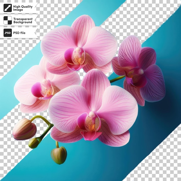 PSD psd orchidee bloem op transparante achtergrond