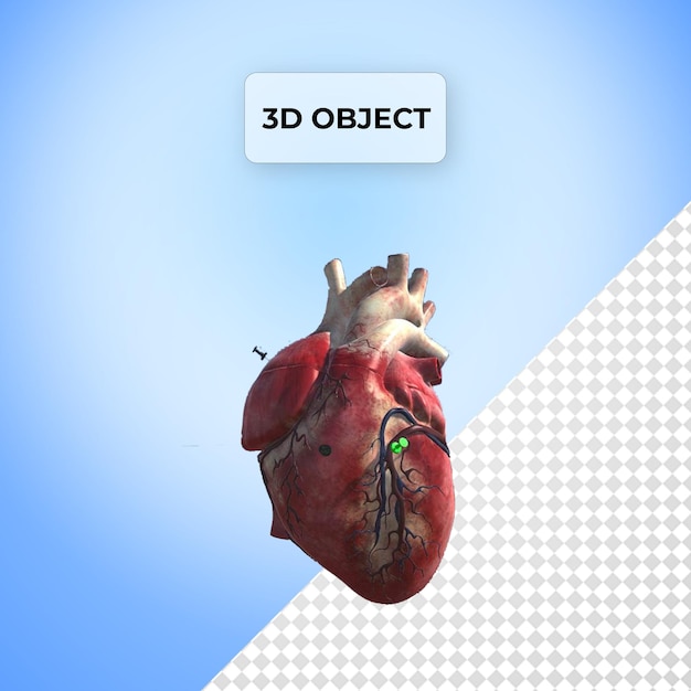 PSD psd organism 3d heart png transparent background