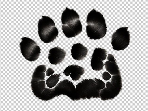 PSD psd of a paw print of dog on transparent background