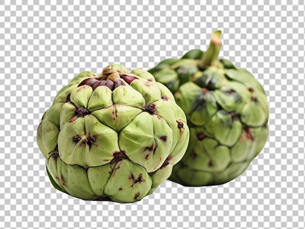 PSD psd pf a cherimoya