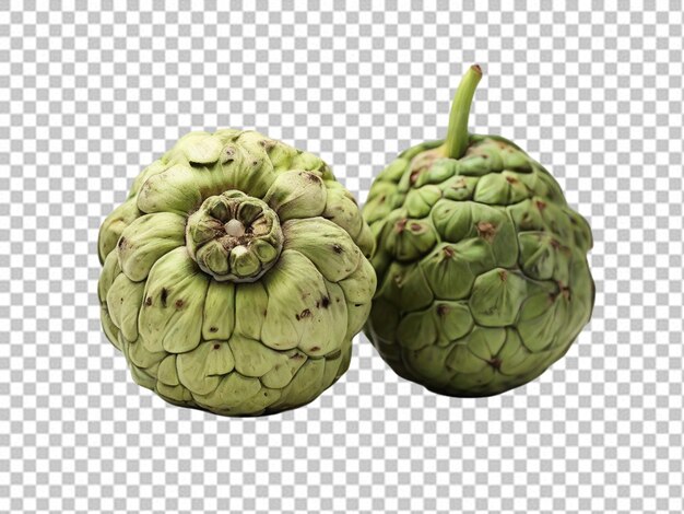 PSD psd pf a cherimoya