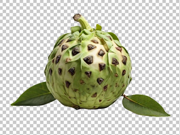 PSD psd pf a cherimoya