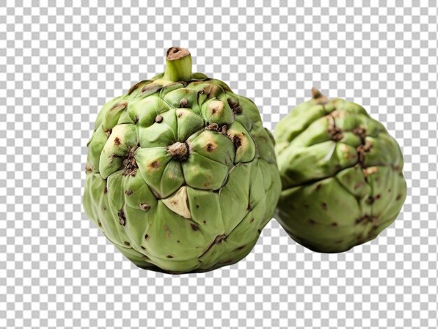 PSD psd pf a cherimoya