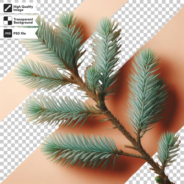 Psd pine branch with cones on transparent background