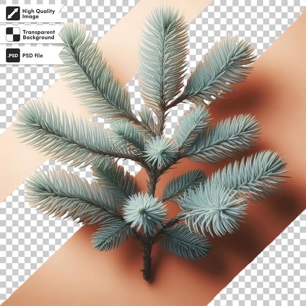 PSD psd pine branch with cones on transparent background