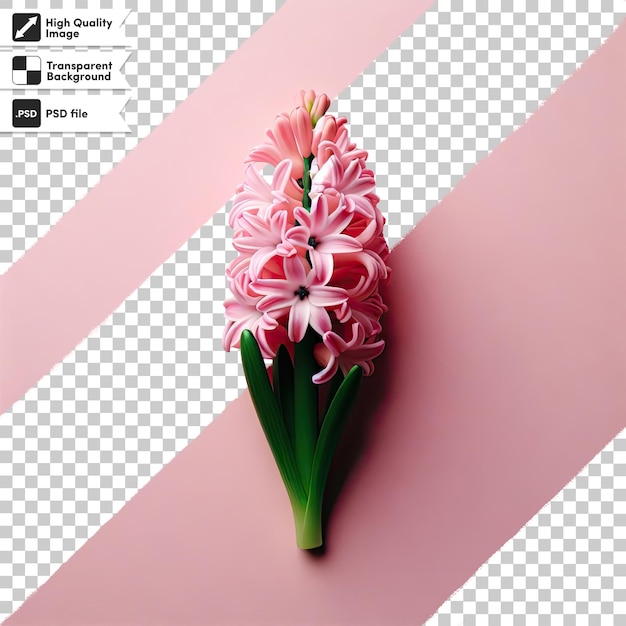 Psd pink flower on transparent background