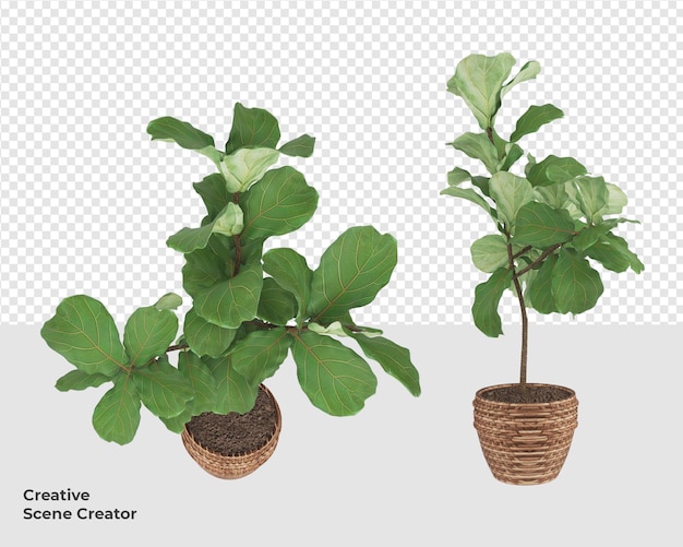 Psd plant in rendering scene creator decoration