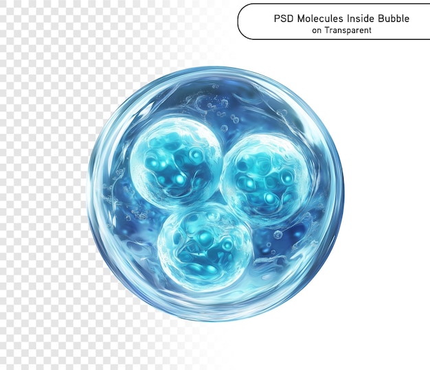 p.s.d.와 p.p.g. 투명한 배경에 있는 거품 안의 분자 콜라겐 혈청 거품