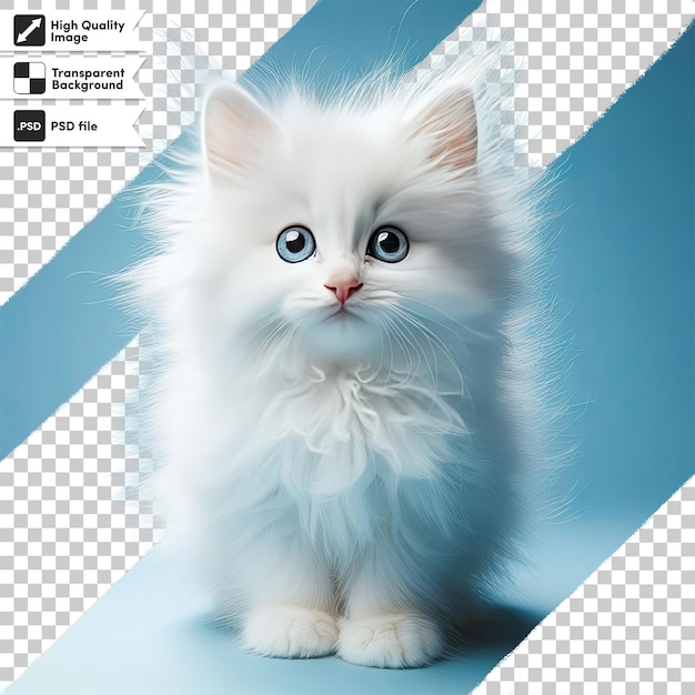 PSD psd portrait of a cat on transparent background