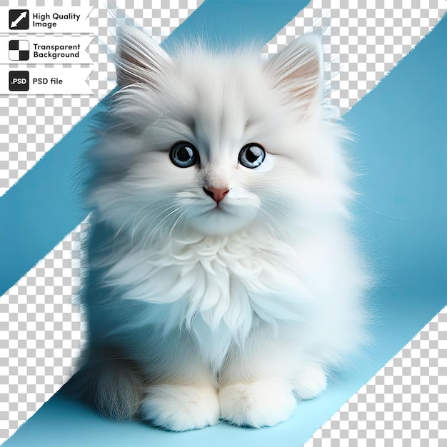 PSD psd portrait of a cat on transparent background