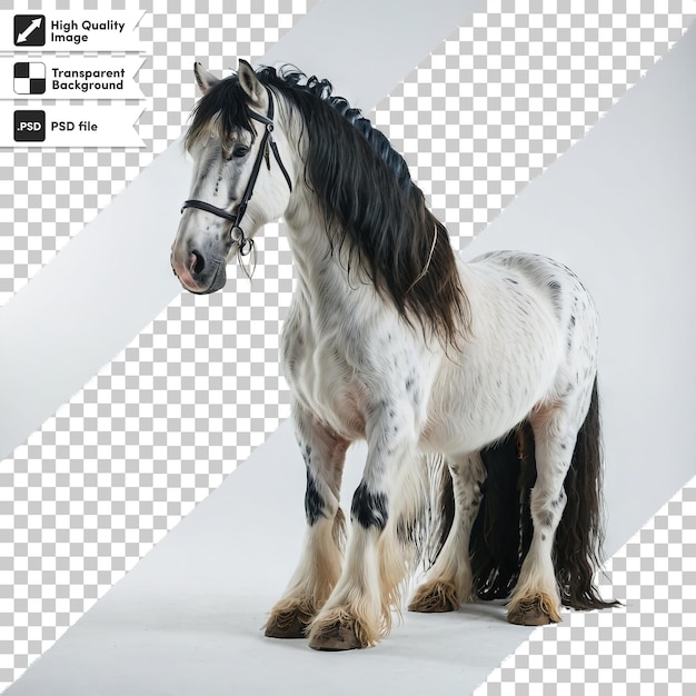 PSD psd portrait of horse with brown spots on transparent background with editable mask layer