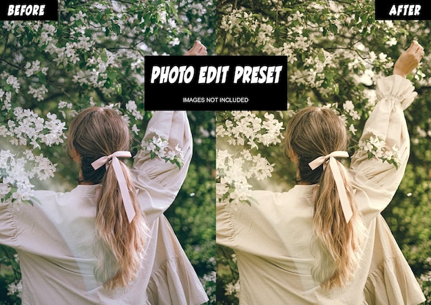 PSD psd psd bright photo edit preset filter