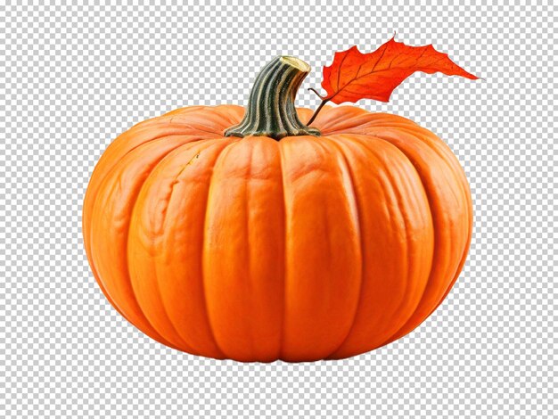 PSD 투명한 배경에 psd pumpkin png